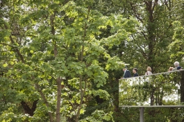 Studio Ruven Wiegert