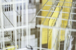 Studio Ruven Wiegert